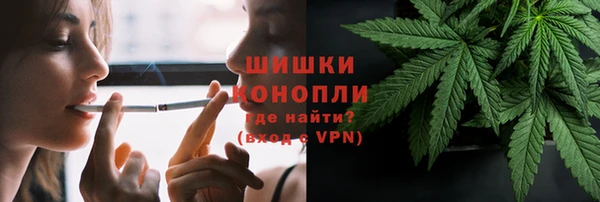 прущий лед Пересвет