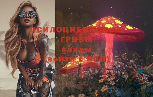 стафф Абаза