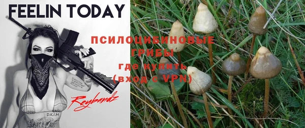 прущая мука Абинск